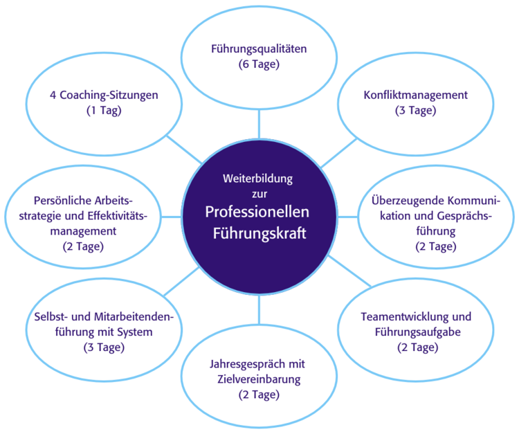 Darstellung der Inhalte und Themen der Weiterbildung professionelle Führungskraft