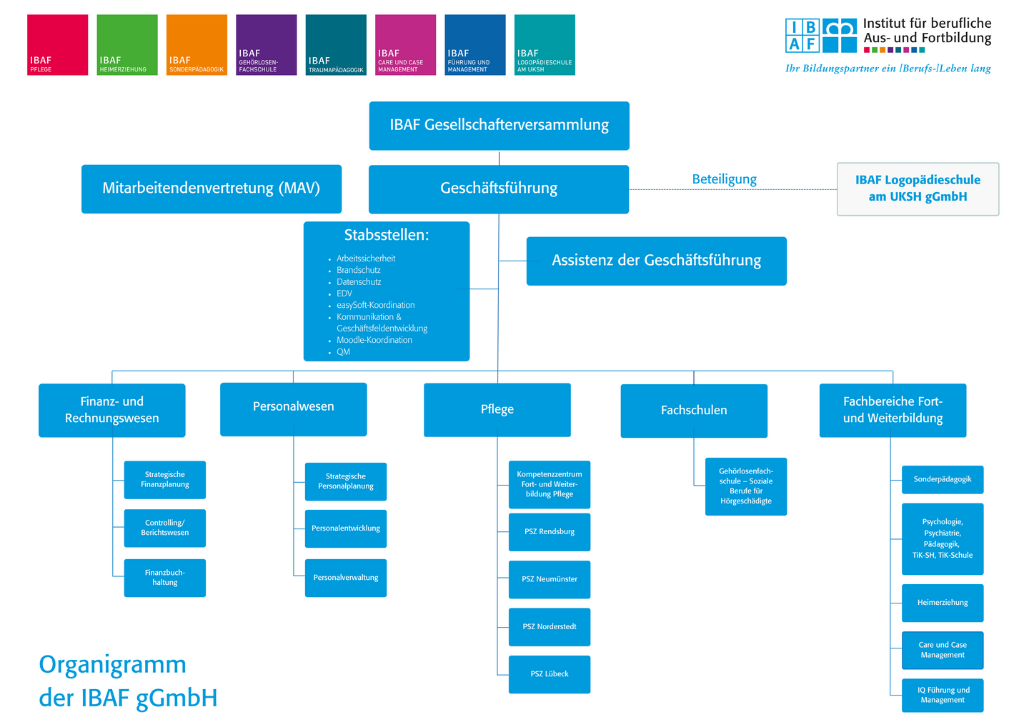 Organigramm der IBAF gGmbH